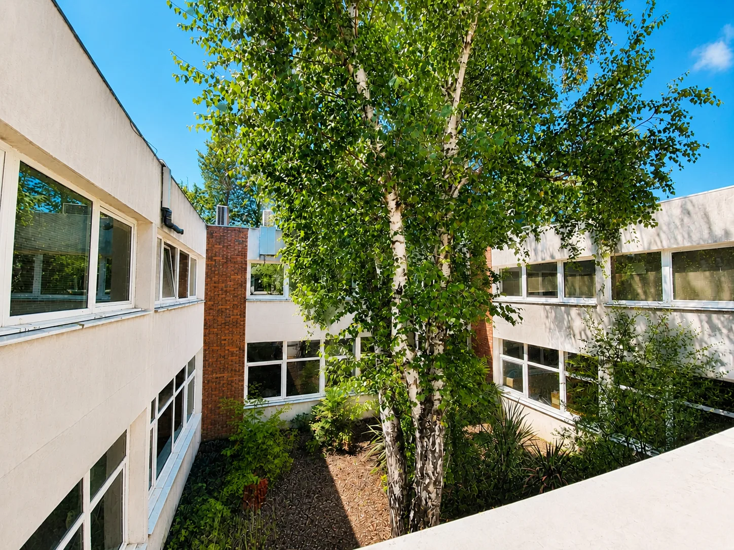 BUREAUX à louer à Bièvres – 646 m²